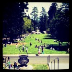 Art Splash at Montalvo Arts Center