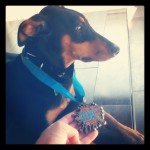 Bolt rocking the medallion