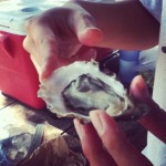 Getting better with the shucking at Tomales Bay Oyster Co